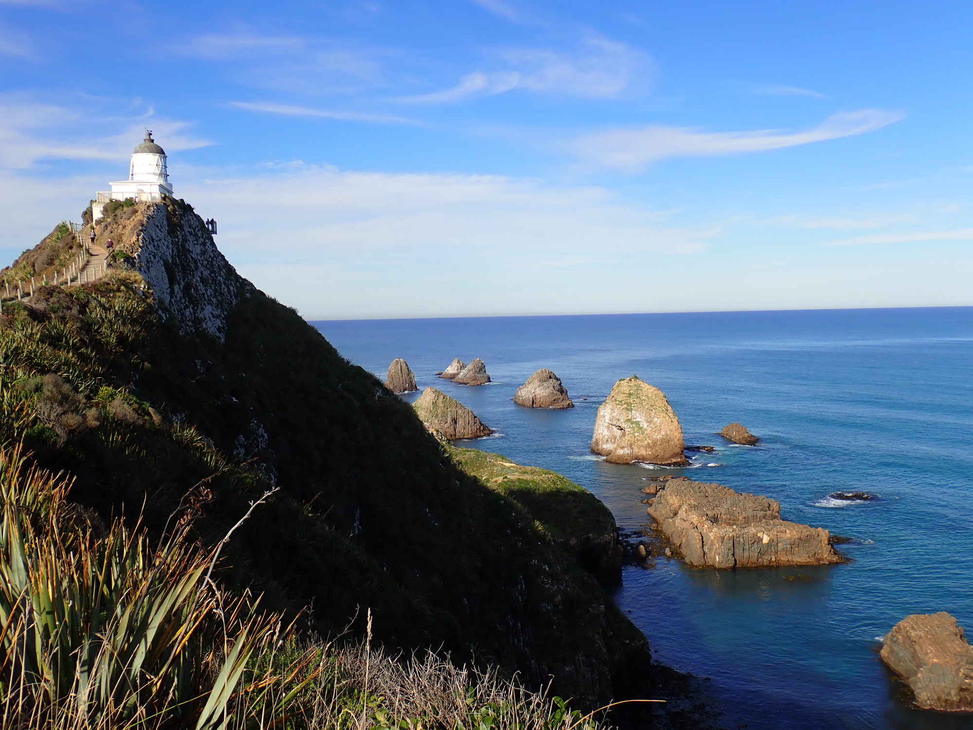 Adventures in Aotearoa (Part 2)